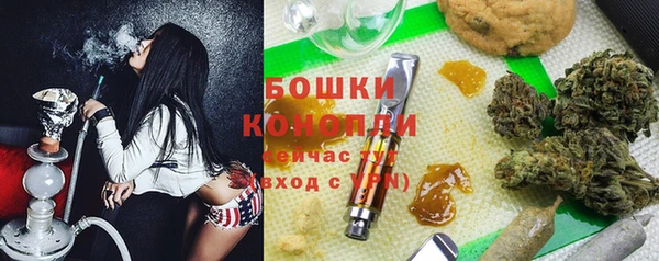 дурь Гусиноозёрск