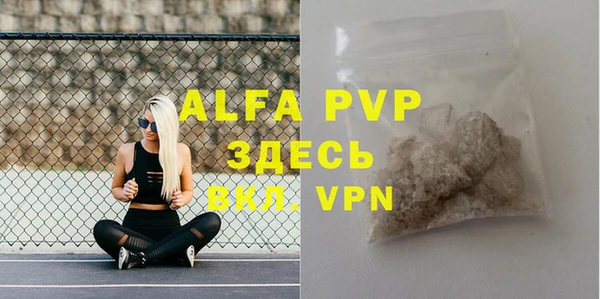 дурь Гусиноозёрск