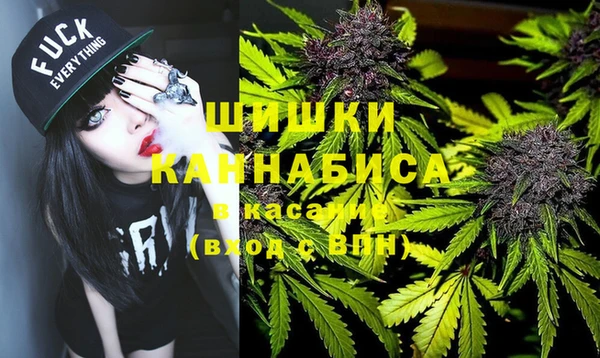 дурь Гусиноозёрск