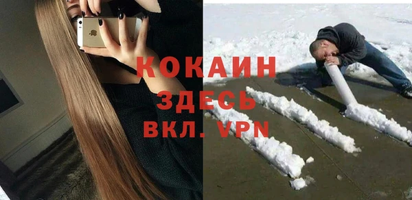 дурь Гусиноозёрск