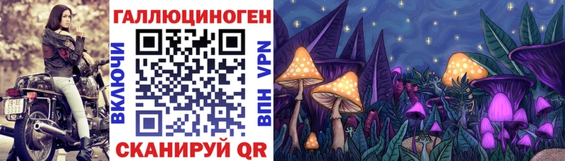 Псилоцибиновые грибы мухоморы  дарк нет телеграм  Кадников 