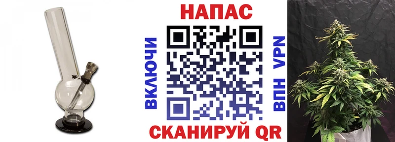 Канабис планчик  Кадников 